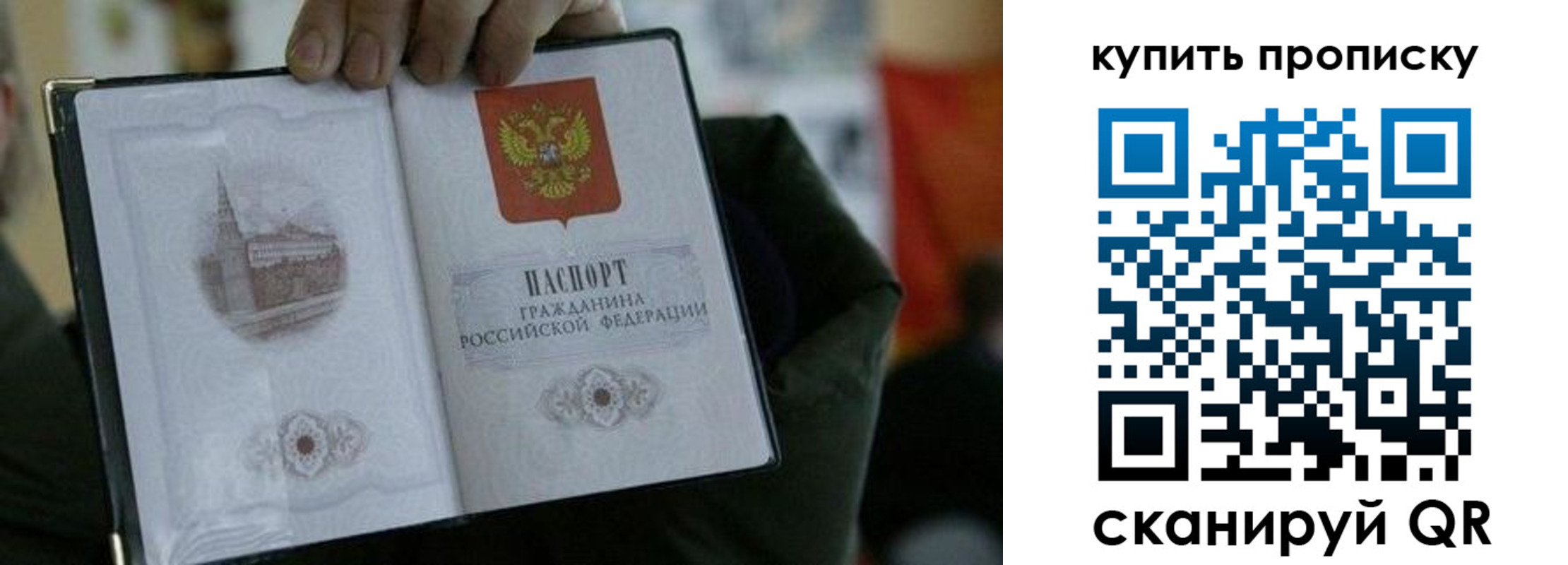 временная регистрация поиск в Светлограде
